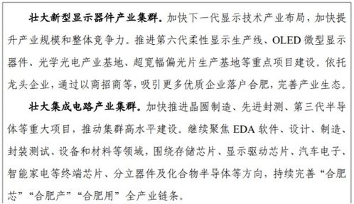 合肥 以人工智能應(yīng)用軟件開(kāi)發(fā)為引擎，賦能支柱產(chǎn)業(yè)高質(zhì)量發(fā)展